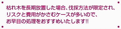 枯れ木を長期放置した場合、伐採方法が限定され、リスクと費用がかさむケースが多いので、おはやめの処理をおすすめいたします!!